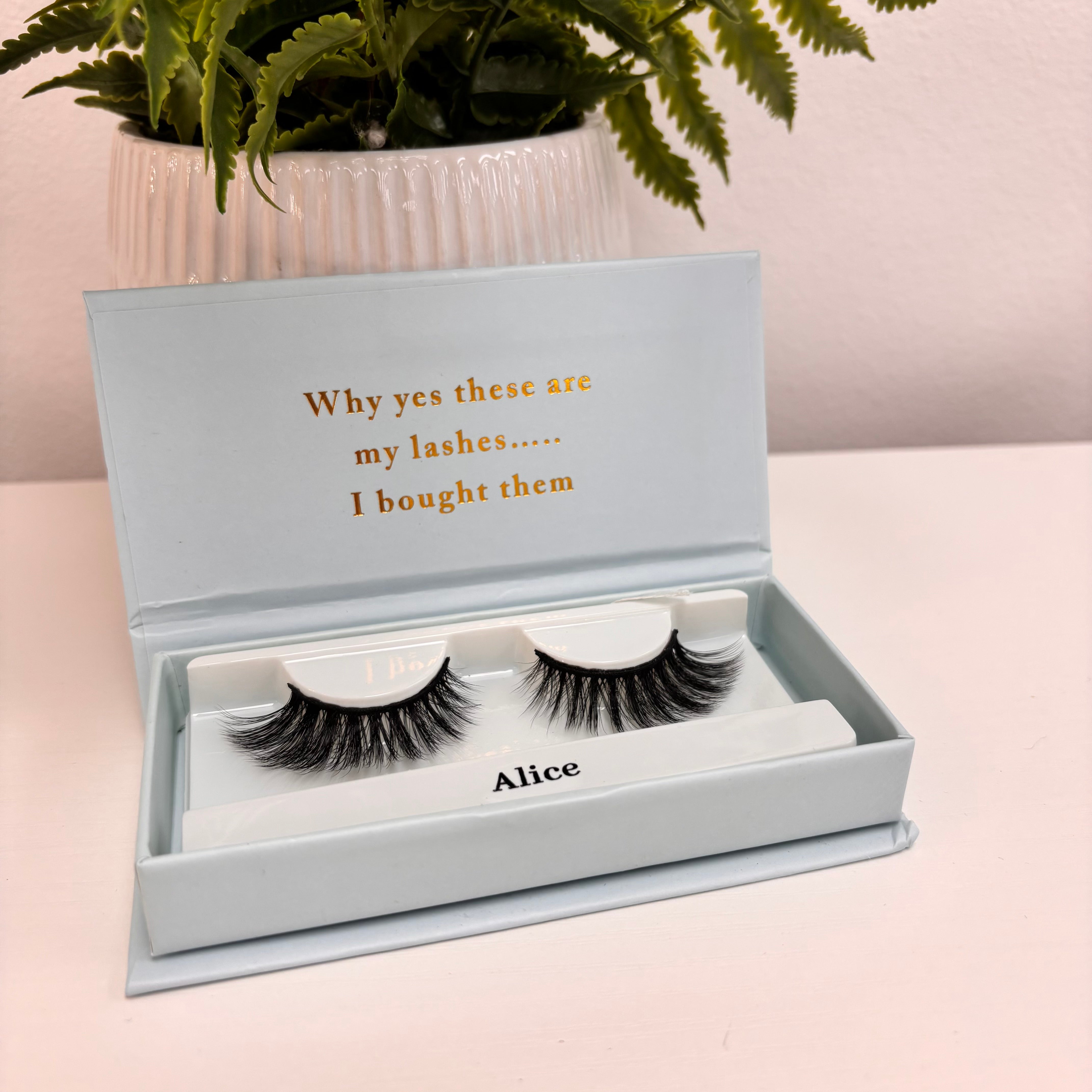b.lashed Eyelashes