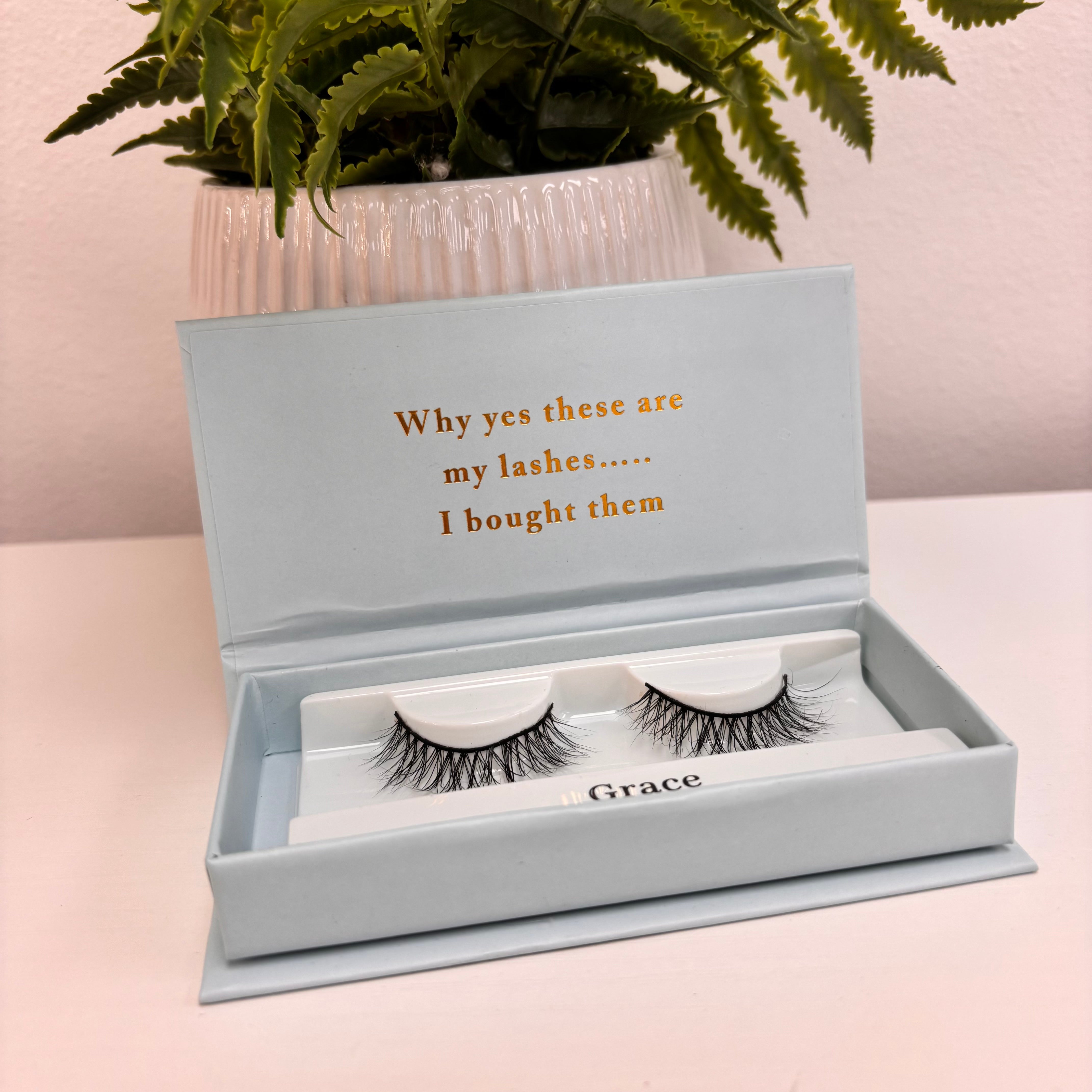 b.lashed Eyelashes